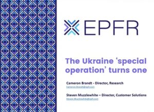 Image of EPFR logo and favicon, with text 'The Ukraine special operation turns one'